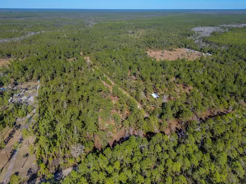 311 Clarks Landing Rd, Carrabelle, FL 32322 photo 3