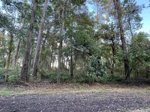 lot15 16 Partridge Ln, Monticello, FL 32344