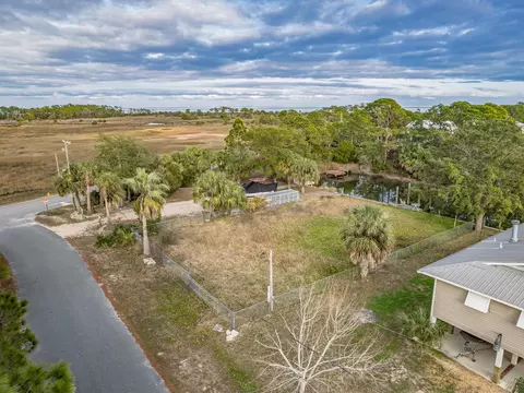 Blue Heron Way, Panacea, FL 32346 photo 10