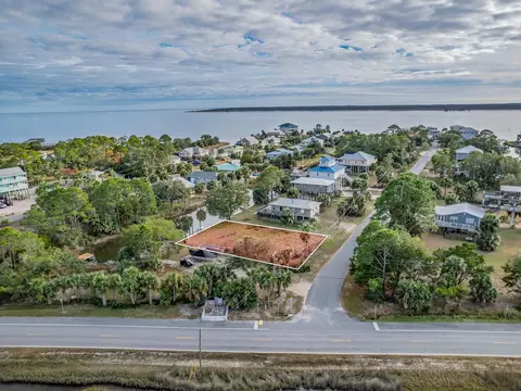 Blue Heron Way, Panacea, FL 32346 photo 9