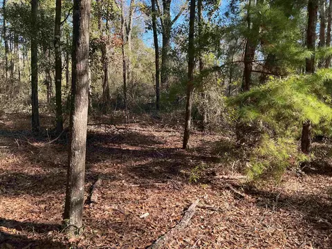 tbd Smokehouse Farms Dr, Greenville, FL 32331