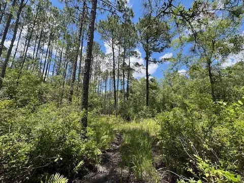 tbd SW Open Sands Loop, Greenville, FL 32331