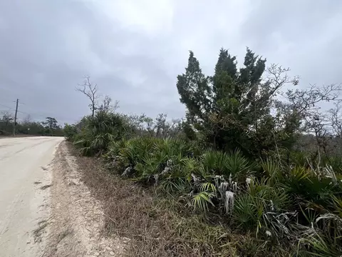 15819 Sea Breeze Dr, Perry, FL 32348