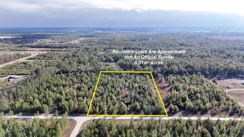 Vacant NE River Trace Trail, Lee, FL 32059
