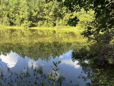 000 27 Hwy, Bainbridge, GA 39819