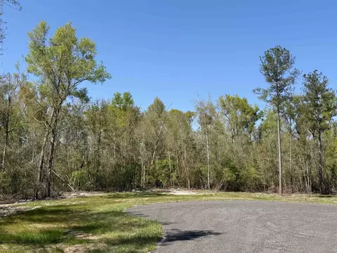 1 Us 90, Lee, FL 32059 photo 4