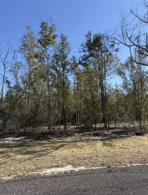 2 Us 90, Lee, FL 32059 photo 9