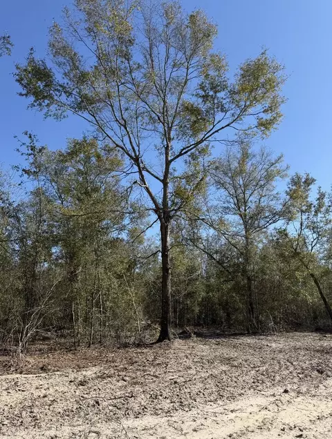 2 Us 90, Lee, FL 32059 photo 8