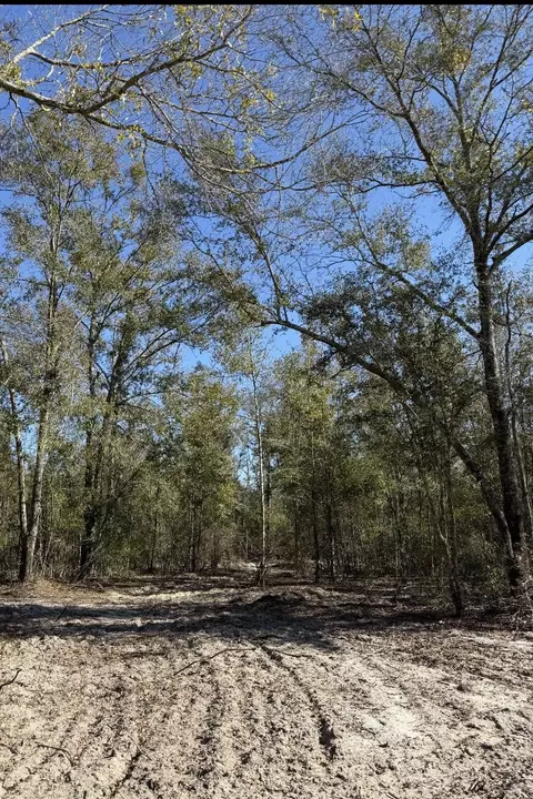 2 Us 90, Lee, FL 32059 photo 10