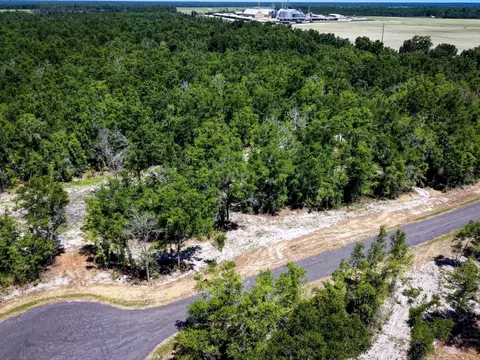 2 Us 90, Lee, FL 32059 photo 22