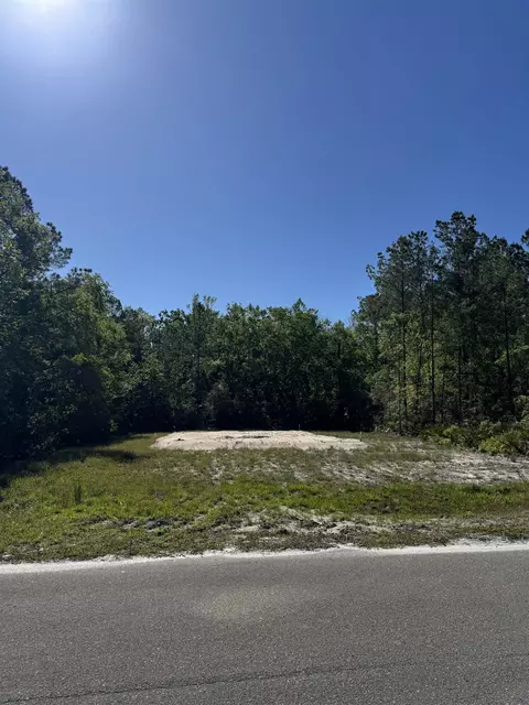 Nn Old Palmetto Path, Saint Marks, FL 32355