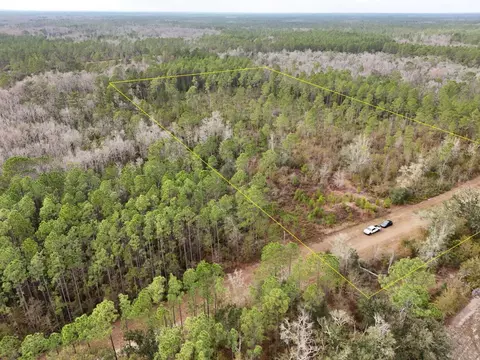 Vacant SW Ontario Road, Greenville, FL 32331