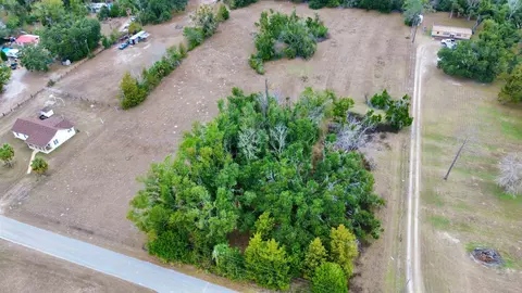 2342 Sidney Blanton Rd, Perry, FL 32347 photo 6