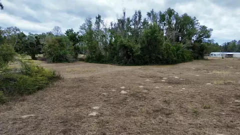 2342 Sidney Blanton Rd, Perry, FL 32347 photo 13