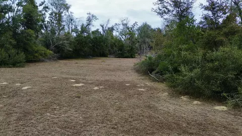 2342 Sidney Blanton Rd, Perry, FL 32347 photo 12
