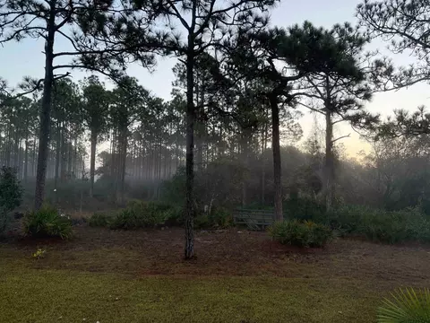 Exterior - 332 Royal Tern Ct, Carrabelle, FL 32322 photo 7 of 8