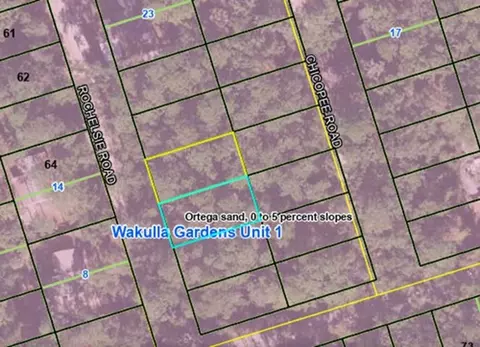 lot3 Rochelsie Rd, Crawfordville, FL 32327