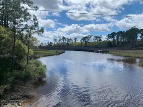 2990 Pristine Dr, Carrabelle, FL 32322 photo 23