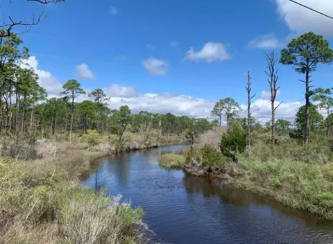 2990 Pristine Dr, Carrabelle, FL 32322 photo 26