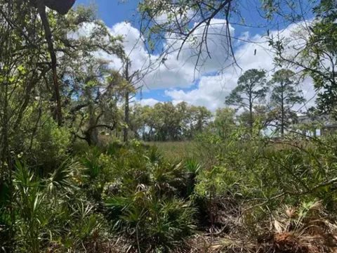 2990 Pristine Dr, Carrabelle, FL 32322 photo 19