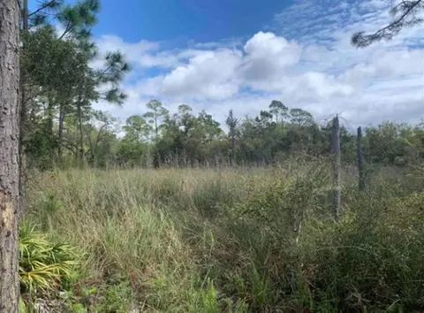 2990 Pristine Dr, Carrabelle, FL 32322 photo 15