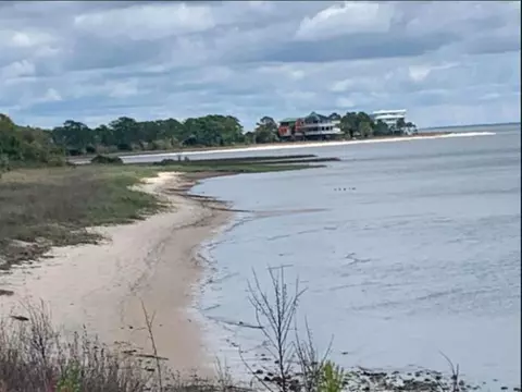 2990 Pristine Dr, Carrabelle, FL 32322 photo 3