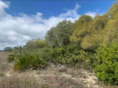 2990 Pristine Dr, Carrabelle, FL 32322 photo 13