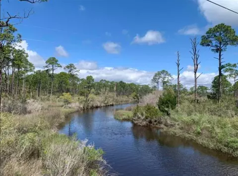 2990 Pristine Dr, Carrabelle, FL 32322 photo 24