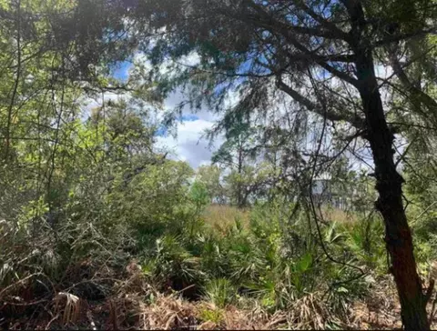 2990 Pristine Dr, Carrabelle, FL 32322 photo 20