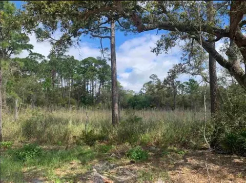 2990 Pristine Dr, Carrabelle, FL 32322 photo 17