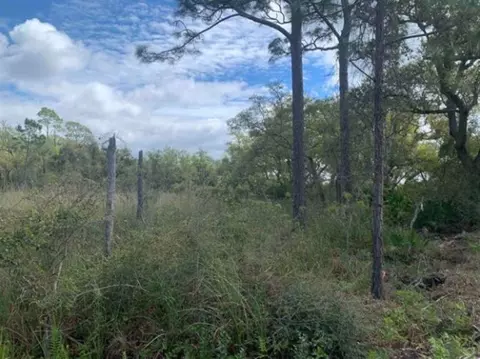 2990 Pristine Dr, Carrabelle, FL 32322 photo 18
