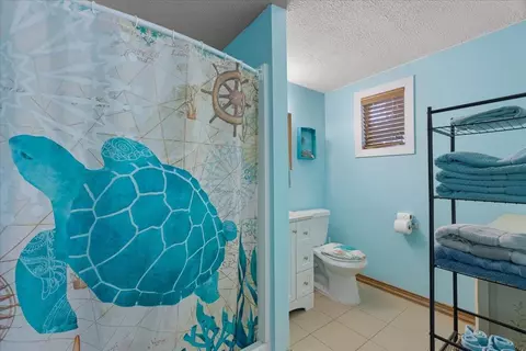 Bath - 1601 SE First Ave, Steinhatchee, FL 32359 photo 2 of 4