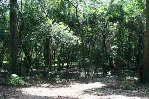0 Rhoden Cove Rd, Tallahassee, FL 32312