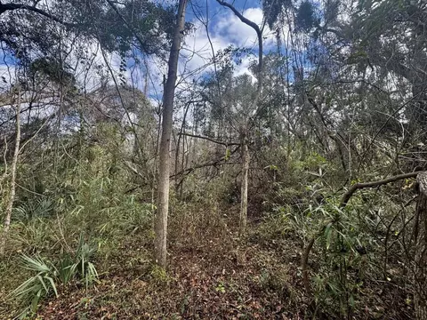 000 W Us 90, Madison, FL 32331 photo 5