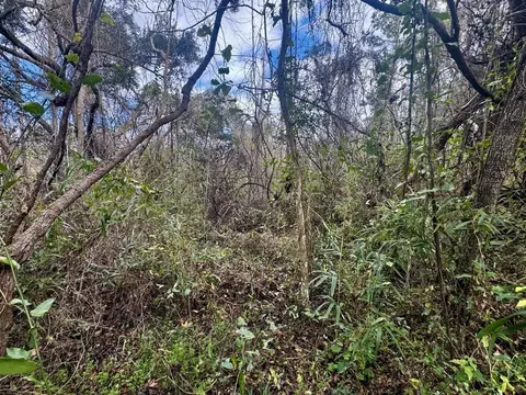 000 W Us 90, Madison, FL 32331 photo 3