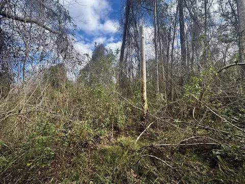 000 W Us 90, Madison, FL 32331 photo 10