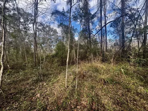 000 W Us 90, Madison, FL 32331 photo 4
