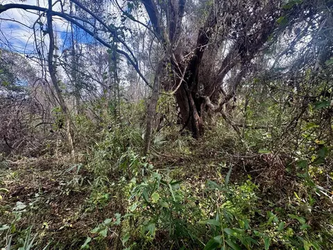 000 W Us 90, Madison, FL 32331 photo 16