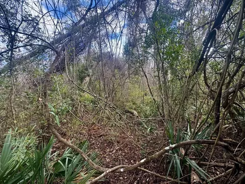000 W Us 90, Madison, FL 32331 photo 8