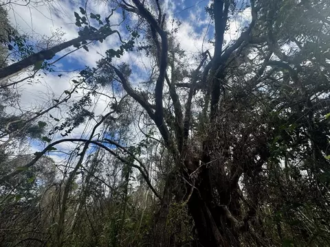 000 W Us 90, Madison, FL 32331 photo 15