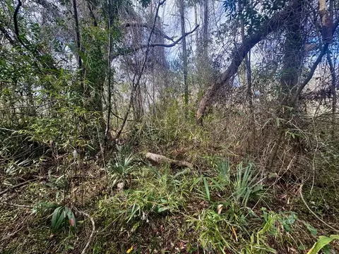 000 W Us 90, Madison, FL 32331 photo 13