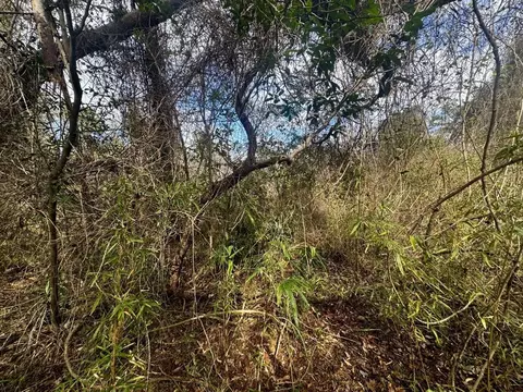 000 W Us 90, Madison, FL 32331 photo 11