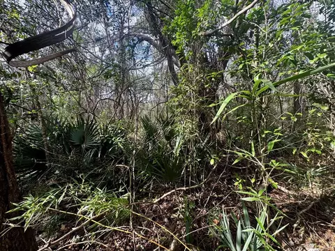 000 W Us 90, Madison, FL 32331 photo 14