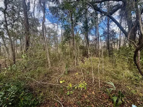 000 W Us 90, Madison, FL 32331 photo 7