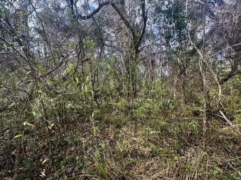 000 W Us 90, Madison, FL 32331 photo 12