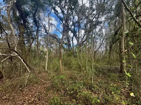 000 W Us 90, Madison, FL 32331 photo 6