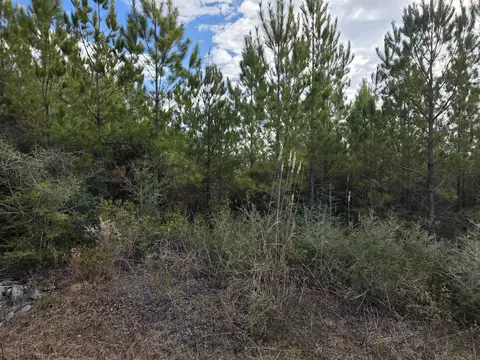 Nnn NW Church Road, Altha, FL 32421