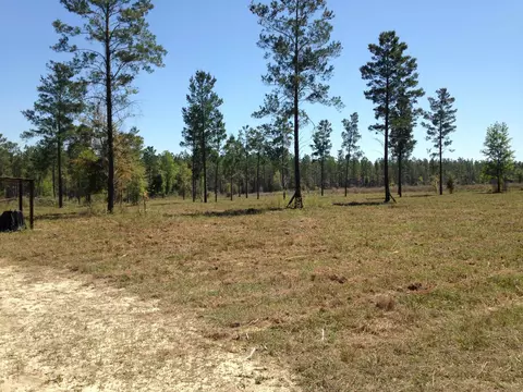 441 NE Mango Ave, Lee, FL 32059 photo 2