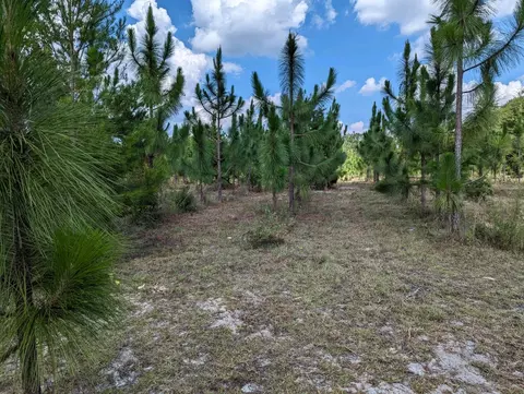 441 NE Mango Ave, Lee, FL 32059 photo 13