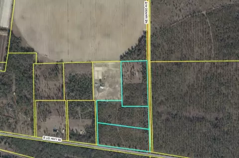 441 NE Mango Ave, Lee, FL 32059 photo 4